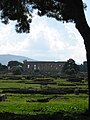 Segundo templo de Hera, o de Apolo, a cuyo través se aprecia el primer templo de Hera