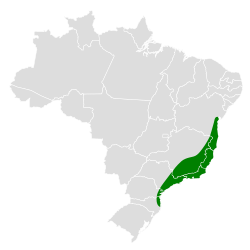 Distribución geográfica de la tangara adornada.