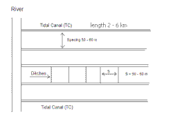 Fig. 2. A tidal canal stretches from the river inland and distributes the water over the lateral ditches