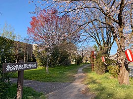 葛塚東部緑道（旧銅屋川 さくら通り）