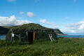 Maison traditionnelle samie à Porsanger dans le Finnmark.