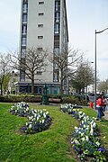 Fontaine Wallace et