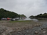 Watermouth Cove, viewed from beneath the castle