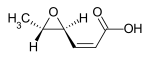 (2Z,4S,5S)-4,5-Epoxy-2-hexensäure