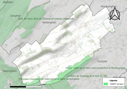 Carte des ZNIEFF de type 1 sur la commune.