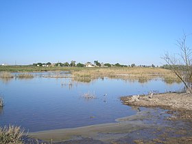 Прибрежно-водный комплекс юга озера, село Богачёвка, 15 мая 2018 года.