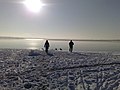 Cospudener See in winter