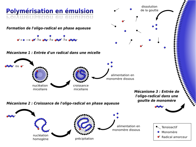Schéma décrivant les trois mécanismes réactionnels pouvant avoir lieu au cours d'une polymérisation par émulsion : micellaire, homogène, en goutte.
