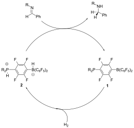 Catalytic cycle for reduction of imine to amine