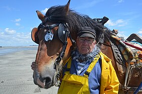 Pêcheur et son cheval en gros plan.