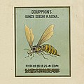 2021年9月12日 (日) 14:58時点における版のサムネイル