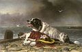 Edwin Landseer: Salvo, 1856