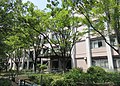 文学部棟