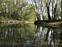 Parc du Rhône à Grigny (Métropole de Lyon).