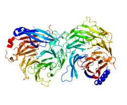 Представлено на основе PDB 2XU7.