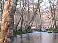 Ponte das Poldras en Leiro