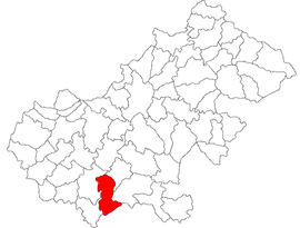 Location in Satu Mare County