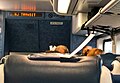 Seat check on headrest of an NJ Transit Bombardier MultiLevel Coach, note the special clip on the headrest for the seat check.