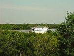 Boat on a river in a densely forested plain.