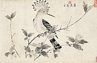 Hoopoe featured in The Sketching of Rare Birds by Emperor Huizong of Song in the 12th century