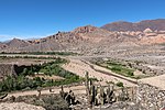 Arid landscape with cacti