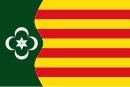 Drapeau de Pardines