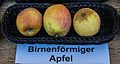 Birnenförmiger Apfel