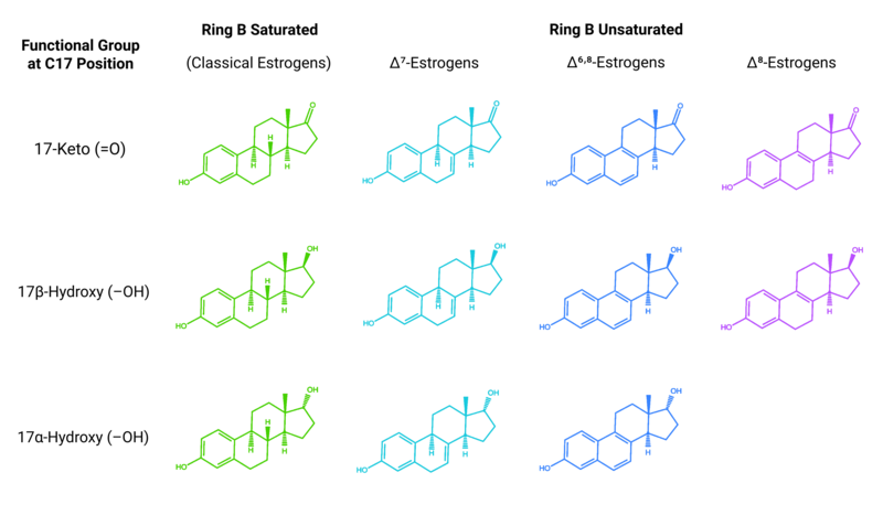 Chemical structures of equine estrogens