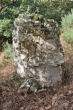 Menhir du Tertre Gicquel