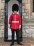Soldier of the Coldstream Guards