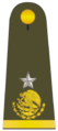 Mexican Army: General Brigadier