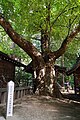 Hotaka Shrine and Its Environment