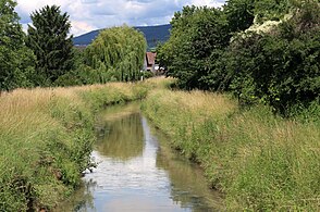 Leimbach, unterhalb des Konrad-Adenauer-Rings