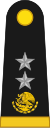 Brigade General