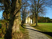 Naturdenkmal Lindenallee