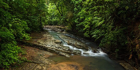 Parque nacional La Cangreja Protege abundantes y cristalinas fuentes de aguas, 44 especies de plantas endémicas y 300 especies de aves.