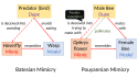 Pouyannian mimicry and pseudocopulation