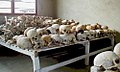 Image 8Original caption states: "Deep gashes delivered by the killers are visible in the skulls that fill one room at the Murambi School." Aftermath of Rwandan genocide.