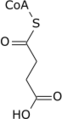 succinyl-CoA