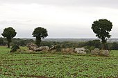 Allée couverte de la Hautière