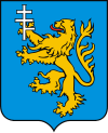 Wappen von Petschenischyn