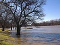 The Wabash River by Dresser's home, looking downstream