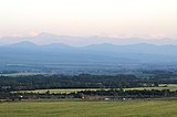 Чеченская равнина в Курчалоевском районе.