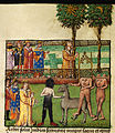 Folio 84v.: Alexander and his companions consult the prophetic trees of the Sun and the Moon; Alexander meeting a black-legged monster man, a horse-lion and headless men.