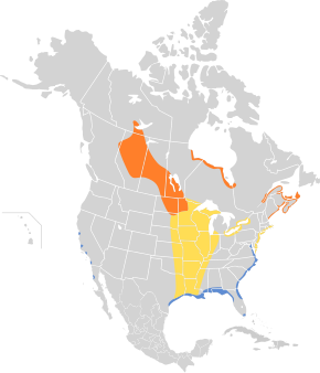 Description de l'image Ammodramus nelsoni map.svg.