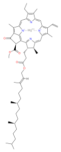 Struttura della clorofilla a