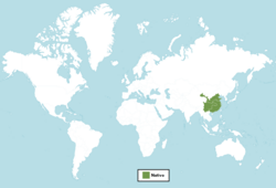 Distribución del Citrus cavaleriei