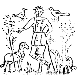 Shepherd. Click image for picture information.