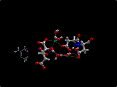 Paso de oxidorredución no que se utiliza o NAD+ como aceptor dun hidruro.[10]