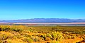 Vue générale de la centrale solaire d'Ivanpahdans le désert de Mojave.